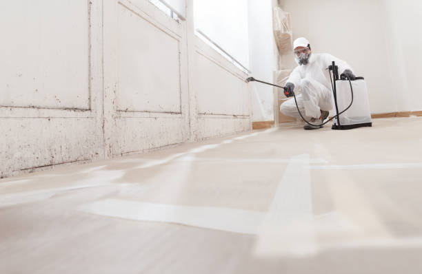 24/7 Emergency Mold Remediation experts in Springfield, MI